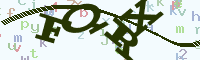 reload image