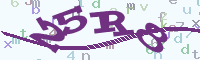 reload image