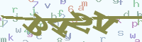 reload image
